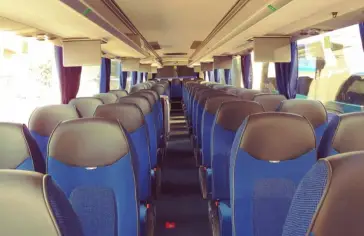 bus2.jpg