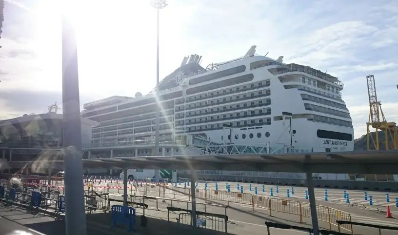 Z velbloudí farmy rovnou na loď MSC Magnifica: Nezapomenutelný příběh delegátky Terky