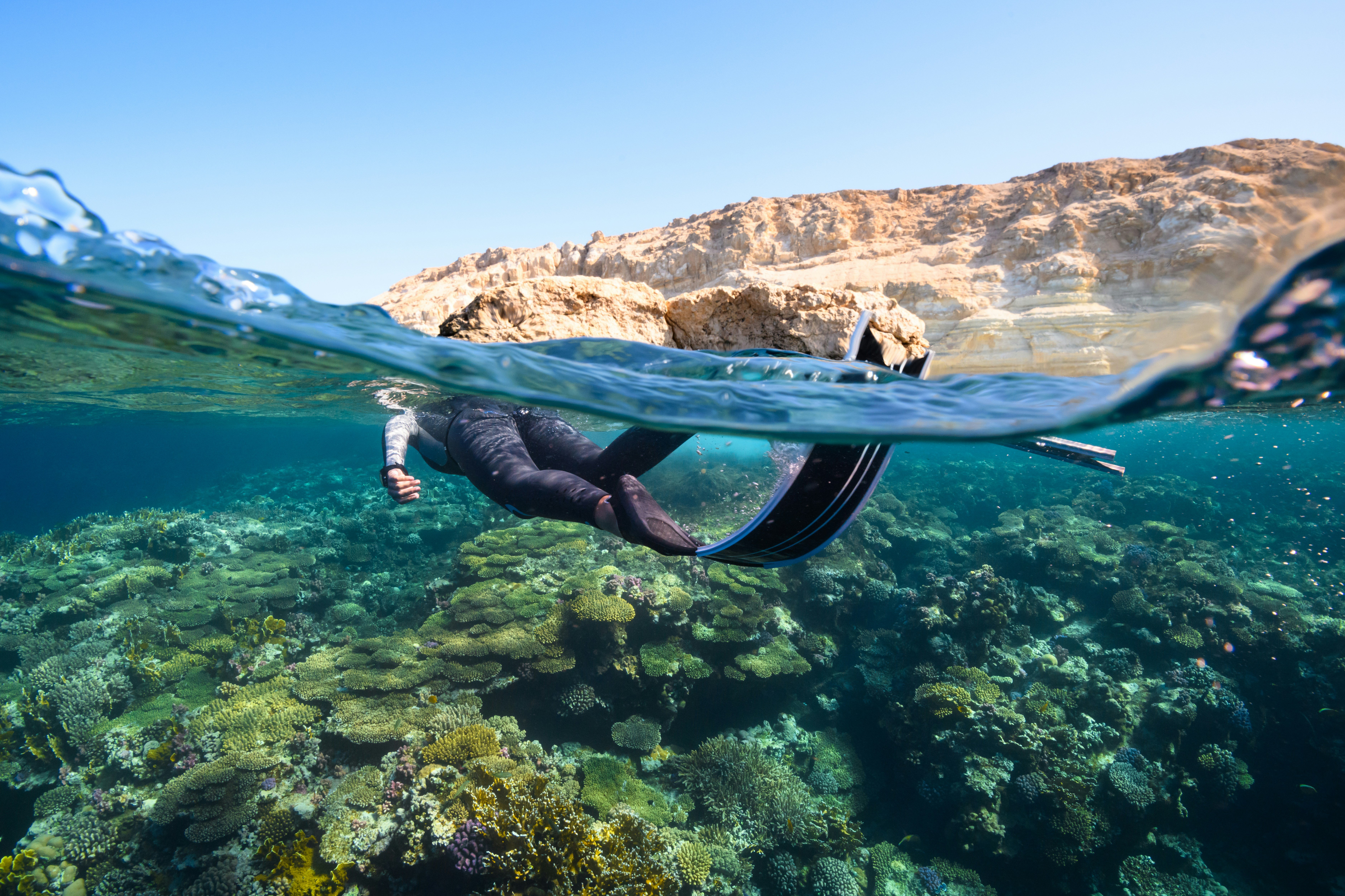 Photo by <a href="https://unsplash.com/@neom?utm_content=creditCopyText&utm_medium=referral&utm_source=unsplash">NEOM</a> on <a href="https://unsplash.com/photos/a-person-swimming-in-the-ocean-with-a-mountain-in-the-background-xQhP7RVgA3c?utm_content=creditCopyText&utm_medium=referral&utm_source=unsplash">Unsplash</a>;