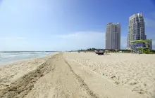 miami_msc-(3).jpg