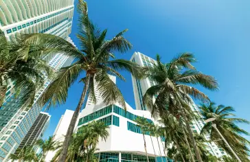 miami_usa.jpg