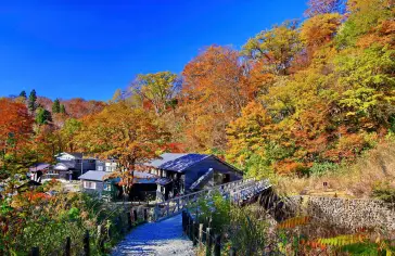 Akita