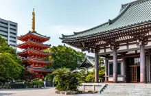 fukuoka_pex.jpg