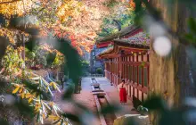 fukuoka_uns-(3).jpg