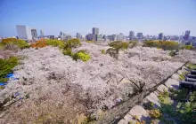 fukuoka_uns-(5).jpg