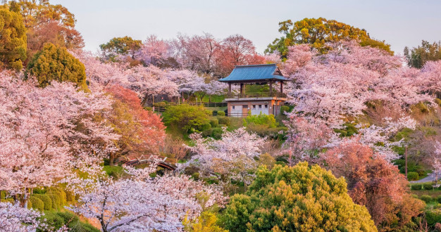 Yatsushiro (Kumamoto)