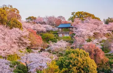 Yatsushiro (Kumamoto)