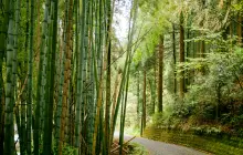 kagoshima_uns-(3).jpg