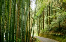 kagoshima_uns-(3).jpg