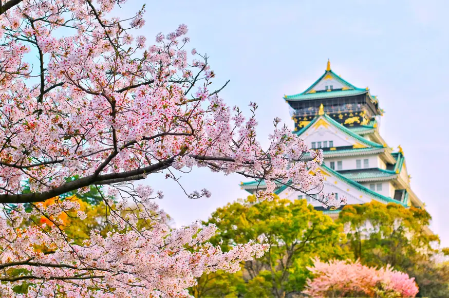 osaka-(sakury)_pex-(1)_coloured.jpg