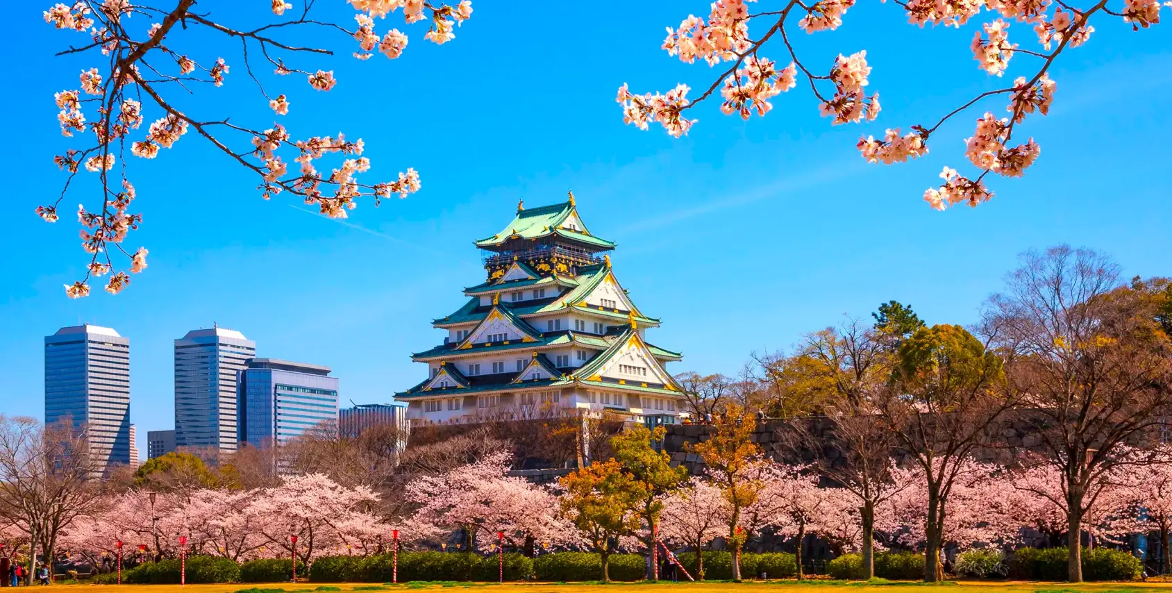 Pokvetou na naší letošní plavbě Japonskem sakury?