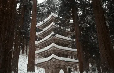 sakata-(tsuruoka)_pex.jpg