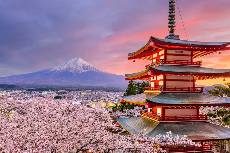 tokio-(fudzi).jpg