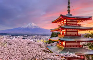 tokio-(fudzi).jpg