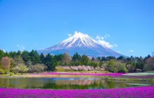 tokio-(fudzi)_pix-(2).jpg