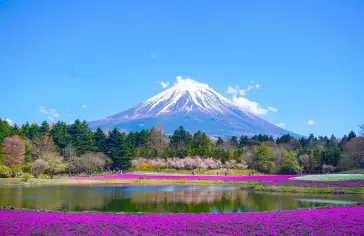 Image by <a href="https://pixabay.com/users/thuanjapan-34141050/?utm_source=link-attribution&utm_medium=referral&utm_campaign=image&utm_content=8010752">THUAN NGUYEN</a> from <a href="https://pixabay.com//?utm_source=link-attribution&utm_medium=referral&utm_campaign=image&utm_content=8010752">Pixabay</a>;