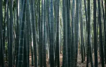 tokio-(kamakura)_uns-(2).jpg