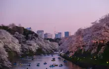 tokio_uns.jpg
