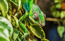 antsiranana-(madagaskar)_pix.jpg