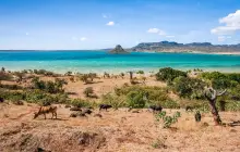 antsiranana_msc.jpg