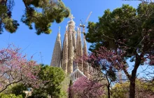 barcelona_riv-(misa-m).jpeg
