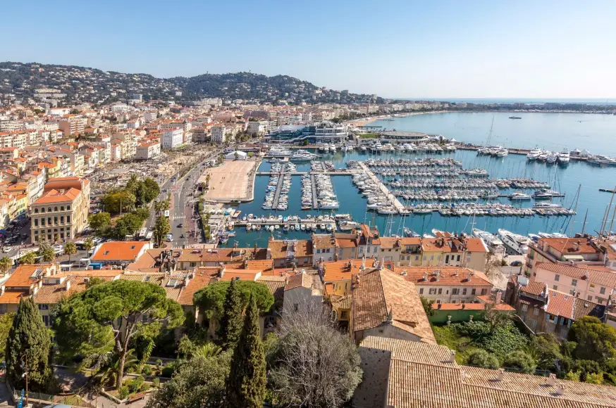 cannes_msc-1773479780.jpg