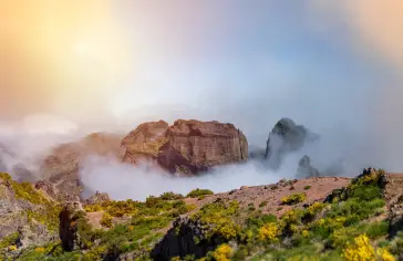 Image by <a href="https://pixabay.com/users/pixelraw-153960/?utm_source=link-attribution&utm_medium=referral&utm_campaign=image&;