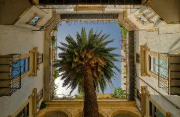 palermo_uns.jpg
