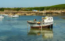 brest_pex-(2).jpg