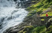 flaam_uns-(5).jpg