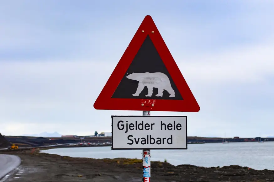 longyearbyen-(spicberky)_pix-(3).jpg