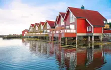 molde_msc-(1).jpg