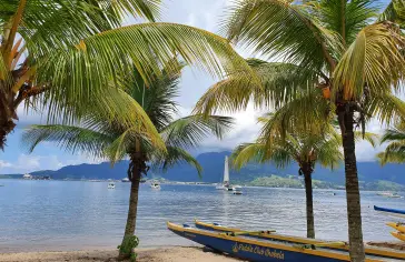 Autor/ka fotografie: SOLANGE OLIVEIRA: https://www.pexels.com/cs-cz/foto/tropicka-plaz-s-palmami-a-cluny-28736240/;