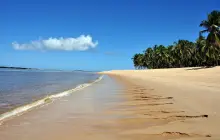 maceio_msc-_1_.jpg