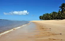 maceio_msc-_1_.jpg