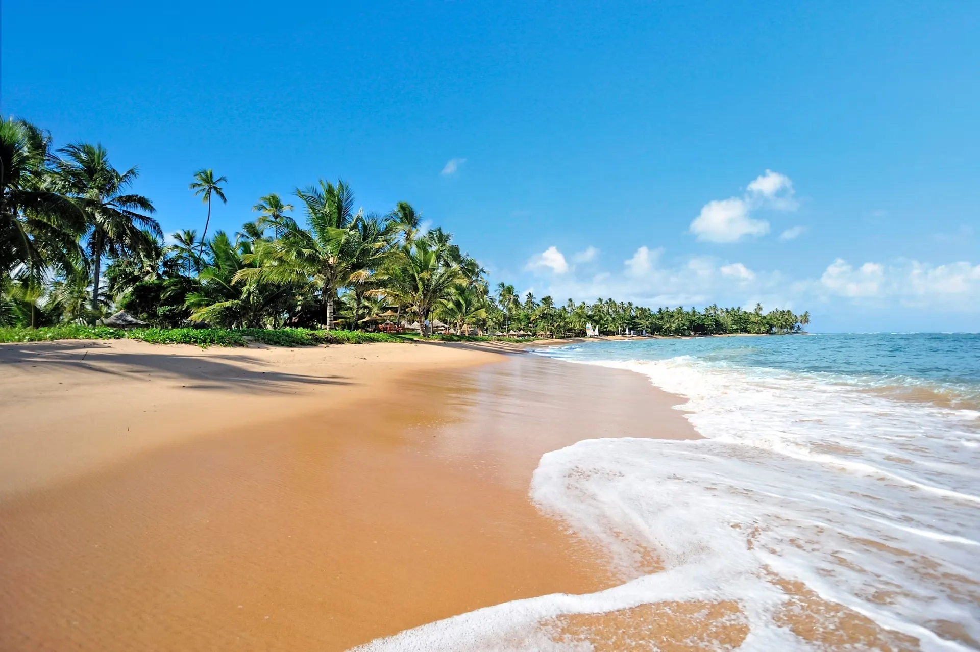 salvador-de-bahia_msc-_1_.jpg