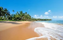 salvador-de-bahia_msc-_1_.jpg