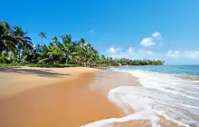 salvador-de-bahia_msc-_1_.jpg
