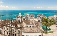 salvador_msc.jpg