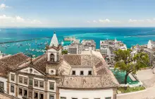 salvador_msc.jpg