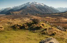 christchurch_pex-(5).jpg