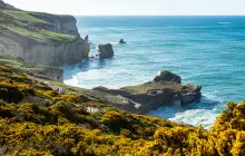 dunedin_uns-(2).jpg