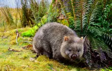 hobart-(tasmanie)_uns-(1).jpg