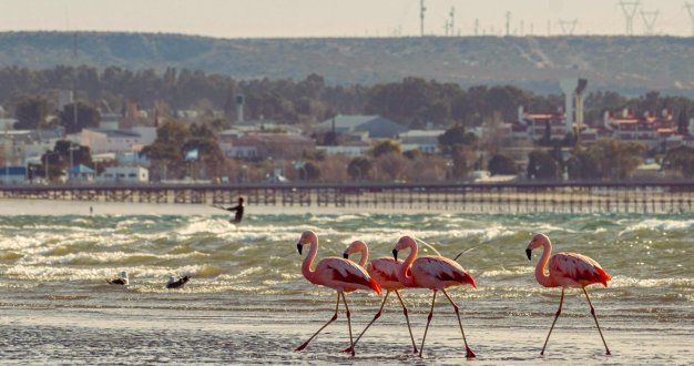 Puerto Madryn