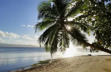 Suva (Fidži)