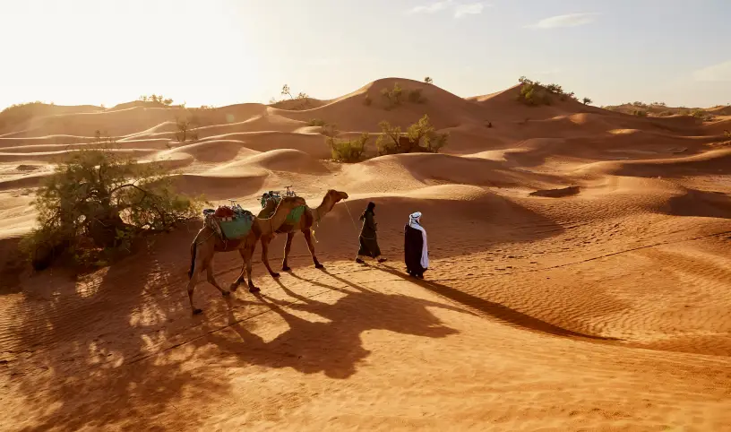 Photo by <a href="https://unsplash.com/@fbazanegue?utm_content=creditCopyText&utm_medium=referral&utm_source=unsplash">Fabien Bazanegue</a> on <a href="https://unsplash.com/photos/people-walking-with-two-camels-walking-on-desert-dA-kSCn0K20?utm_content=creditCopyText&utm_medium=referral&utm_source=unsplash">Unsplash</a>;
