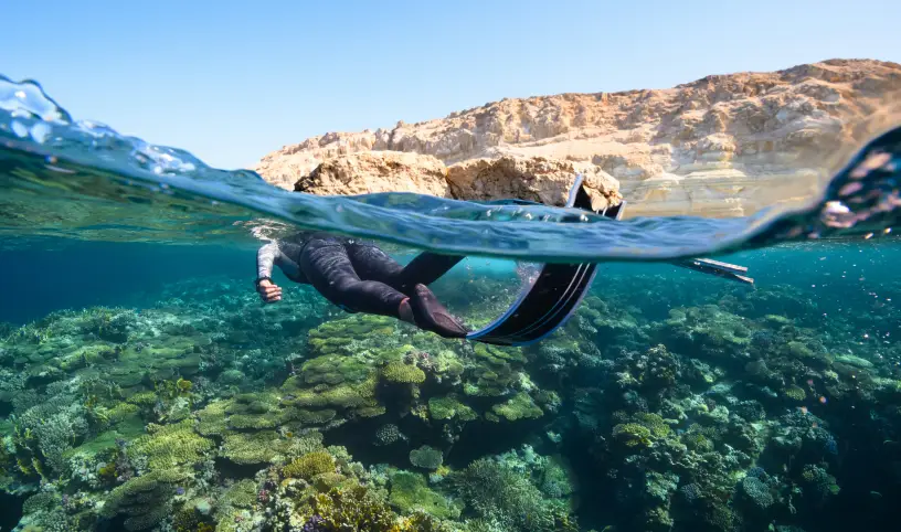 Photo by <a href="https://unsplash.com/@neom?utm_content=creditCopyText&utm_medium=referral&utm_source=unsplash">NEOM</a> on <a href="https://unsplash.com/photos/a-person-swimming-in-the-ocean-with-a-mountain-in-the-background-xQhP7RVgA3c?utm_content=creditCopyText&utm_medium=referral&utm_source=unsplash">Unsplash</a>;