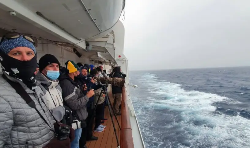 https://mousefreemarion.org/the-flock-to-marion-voyage-raises-over-three-million-rand-for-the-mouse-free-marion-project/
