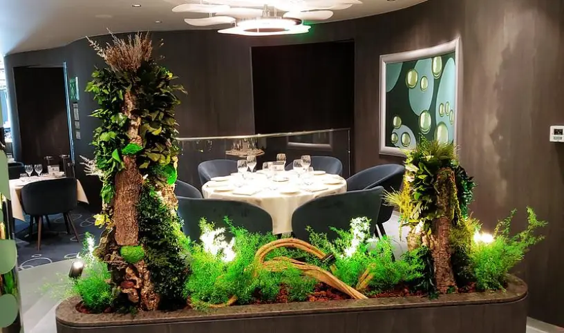 RIVIERA TOUR NA SLAVNOSTNÍM SPUŠTĚNÍ MSC WORLD EUROPA