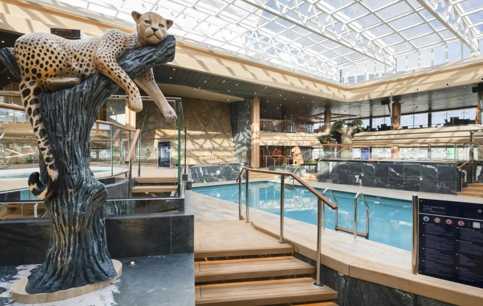 gr_15_safari-pool-(1).jpg